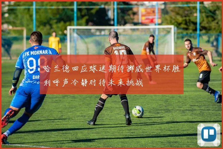 哈兰德回应球迷期待挪威世界杯胜利呼声冷静对待未来挑战