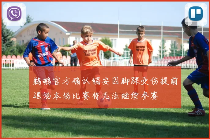 鹈鹕官方确认锡安因脚踝受伤提前退场本场比赛将无法继续参赛