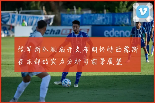 绿军拆队削减开支布朗怀特西蒙斯在东部的实力分析与前景展望
